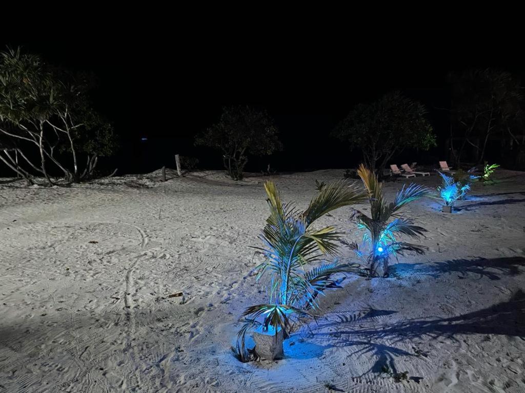 פאג'ה Jambo Beach Hotel מראה חיצוני תמונה